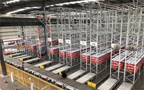 欧美成人精品A片免费一区99